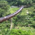 內湖白石湖吊橋20100201 - 3