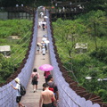 內湖白石湖吊橋20100201 - 5
