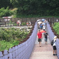 內湖白石湖吊橋20100201 - 1