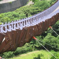 內湖白石湖吊橋20100201 - 2