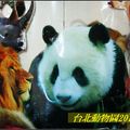 台北動物園2010724 - 1