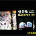 台北動物園2010724 - 5