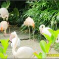 台北動物園2010724
