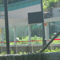 20090712動物園暨唱歌遊 - 3