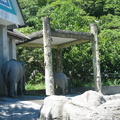 20090712動物園暨唱歌遊 - 5