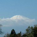 一直覺得山頂覆蓋著白雪的富士山很可愛,這是在靜岡縣拍的,遠遠的天邊只看到一個白白的山頭,看起來實在很像個可口的霜淇淋..