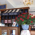 rose house  玫瑰園 - 1