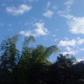 美麗的藍天