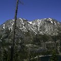 Mountain and Tree in Lake Tahoe area