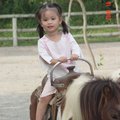 第一次騎馬就帥到不行。
【拍攝時間】2歲 又 18天。
【拍攝地點】台南縣頑皮世界。(學甲鎮)