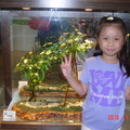 五歲 (20100801) 暑假之旅- 玻璃博物館