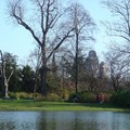 Bois de Vincennes湖景之八