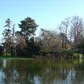 Bois de Vincennes湖景之十