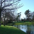 Bois de Vincennes湖景之十五