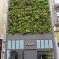 (Etam)商店的植物門面