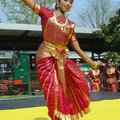 印度舞蹈表演 一為傳統印度舞 舞者衣著華麗 多以眼神及手勢表達其意境 另一為民間雜耍舞者 舞者以特技及傳統舞蹈為主
