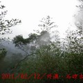 2011登山紀行／外澳．石硿古道14