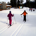 Cross Country Ski 初學者需在[軌道]上練習