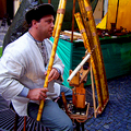 自製古樂器的樂師, Bratislava, 斯洛伐克