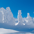 藏王樹冰, 像是冰雪中頂著強風前進的巨人