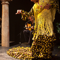 精彩的Flamenco Solo, Museo de Baile Flamenco, sevilla