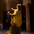 逆光中Flamenco舞者謎樣的身影, Museo de Baile Flamenco, sevilla