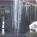 美東大風雪和新年02/2010 - 4