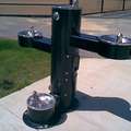 ginger's favorite drinking fountain