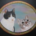 貓咪列傳 - 阿丹和樂高