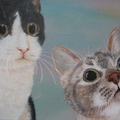 貓咪列傳 - 阿丹和樂高