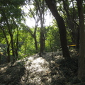 台中植物園11282011