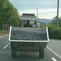 Cap Corse載葡萄的農車