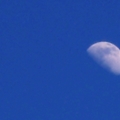 在昨天下午的月亮看見了一張笑臉，希望來看照片的人，也有看到這份幸福！