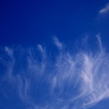 我想～這八成就像是美杜莎的頭髮了，雖然它是美麗的雲～也幸好它們是雲，否則看了不是要成石像了嗎?