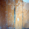 中古屋購入，舊的楓木地板要翻新，因為實木地板，所以重新打磨上漆就可翻新，有部份舊木地板老舊腐壞無法打磨翻新，須補上新的木地板才可，整間最後以近平光漆作面漆。