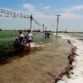 嘉義縣東石鄉網寮村沿海地層下陷_1