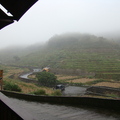 霧中的橫山梯田~20090130 - 1
