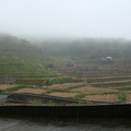 霧中的橫山梯田~20090130 - 2