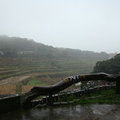 霧中的橫山梯田~20090130 - 3