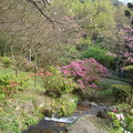 ~2010年2月26日至3月28日陽明山花季熱鬧登場~