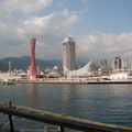 駐足於神戶港邊 遠眺紅色神戶塔 人家海港太乾淨