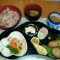 松島遊船-午餐