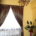 客廳 瞧那窗簾 . 美美的吊燈. 及我最愛的盆栽...