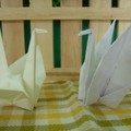 一個安靜女孩所摺的紙鶴