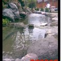 東埔溫泉之旅-魚池(1)