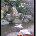 東埔溫泉之旅-魚池(2)