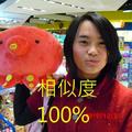 相似度100%