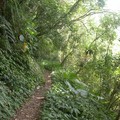 小摺單車越嶺哈盆~福山植物園 - 5