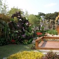 寰宇庭園--泰國