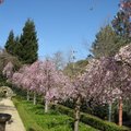 Elizabeth F. Gamble Garden Center